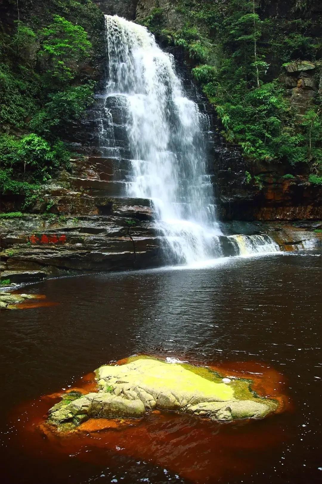 大明山惊现茶色溪水带泡沫？央视揭秘：大自然的“养生茶汤”藏着千年玄机“山泉水