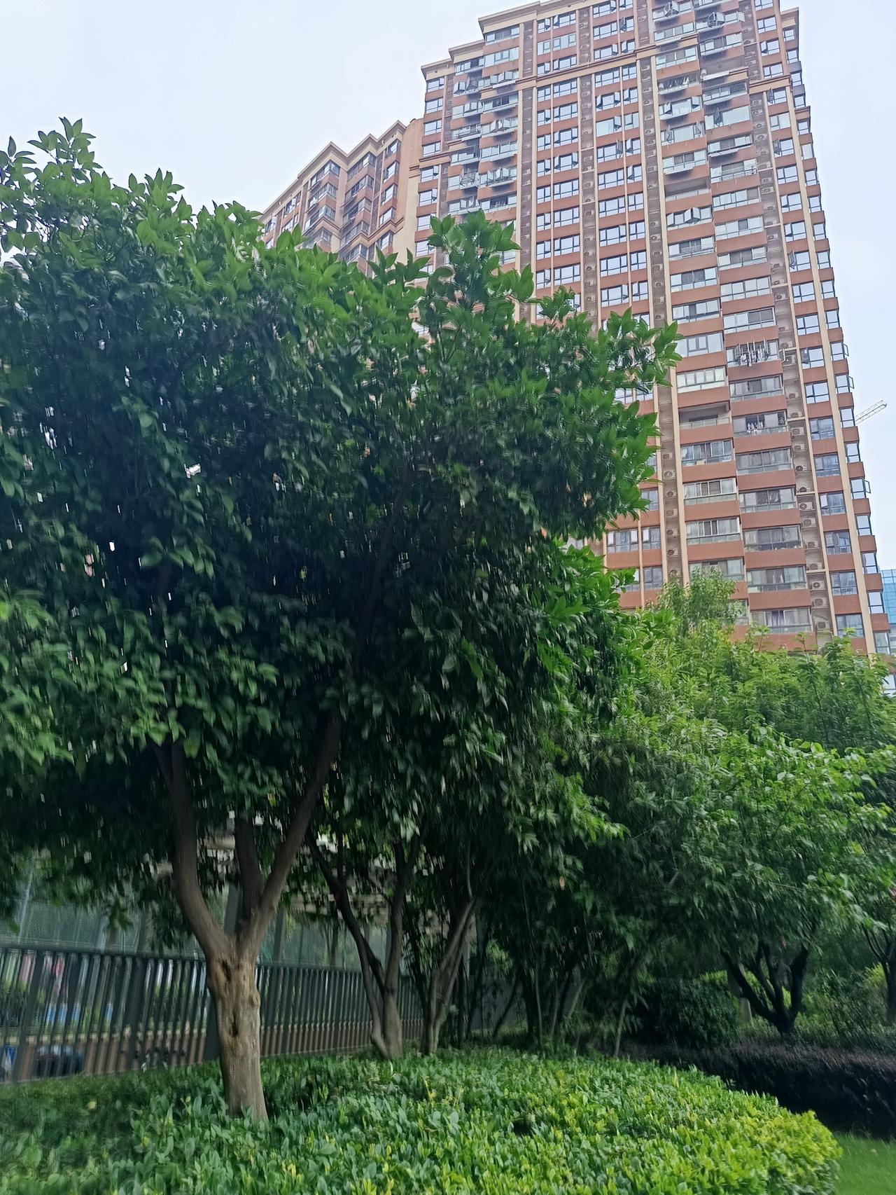 人在灾难面前就是无能为力，昨天黄冈鄂州的一场龙卷风把一个家庭全毁了，房子倒塌了，