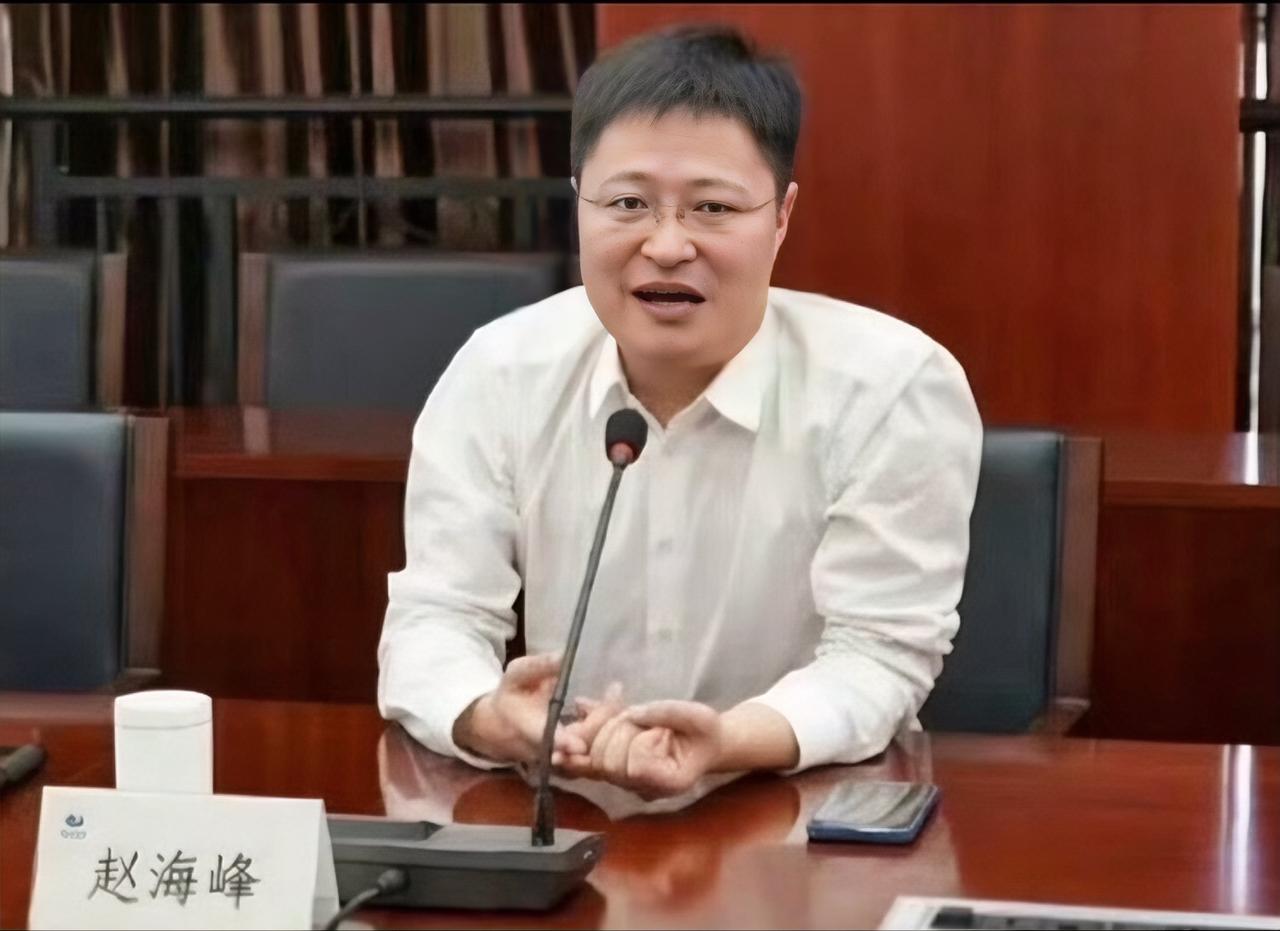 我一个叔叔是做地产的，他给我说了一个大实话，他说赵海峰这事绝对没那么简单，这