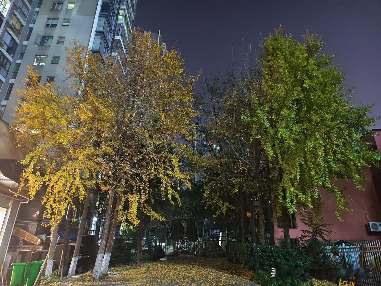 今天是2025年12月14日，今天天气晴朗，但是早上好冷，温度低，还结冰了。