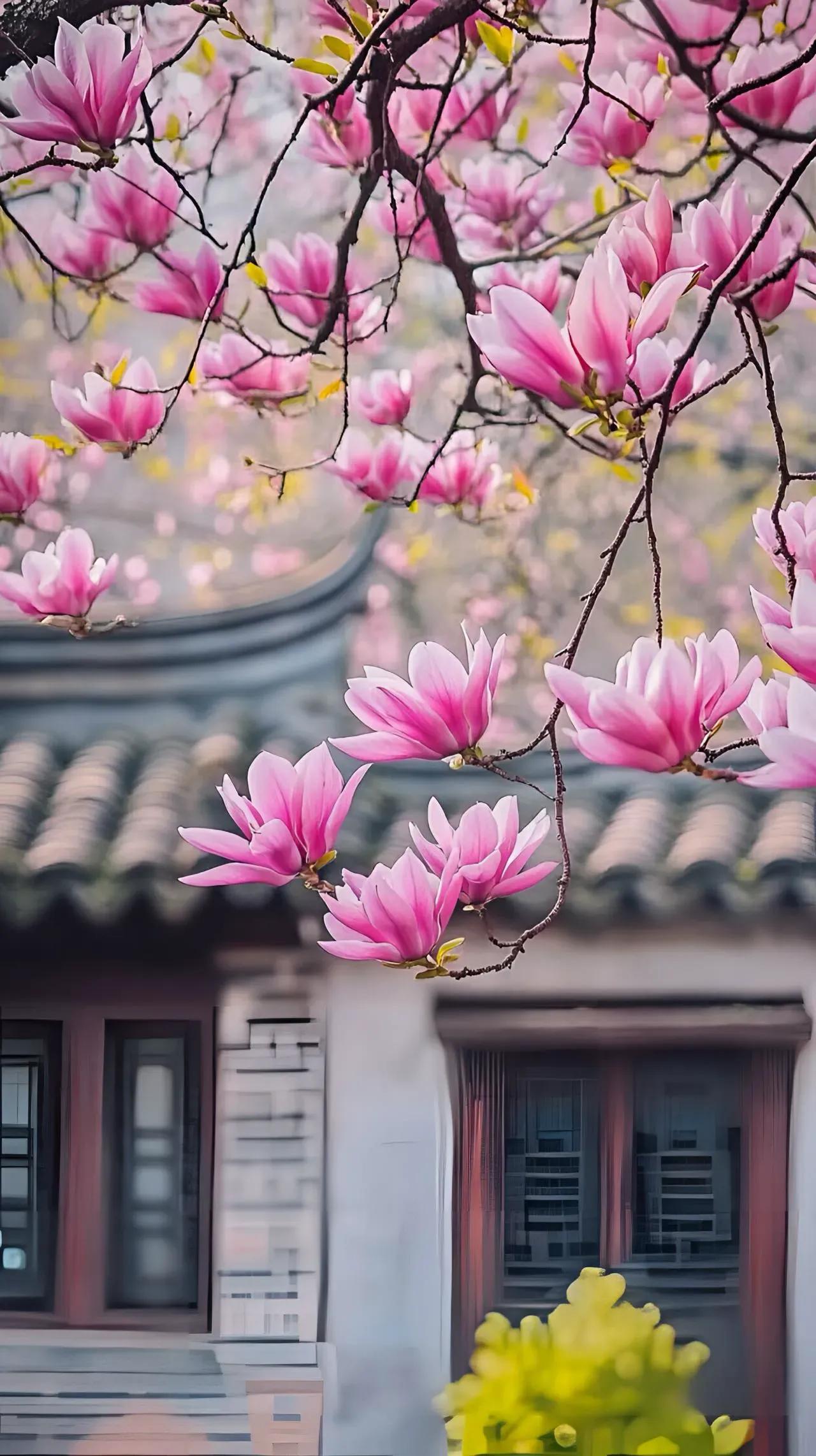 春光美，最美是眼前【心静性闲】春光美，最美的风景就在眼前，春有百花，桃花红杏