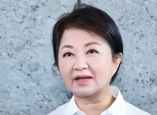 炸锅了！6月29日，台中市长卢秀燕令人惊讶地表示，“国民党团要提出无人机的