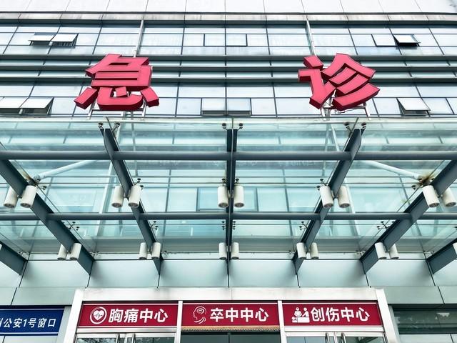 “有仇必报！”7月15日，黑龙江，孙子意外被毒蛇咬，爷爷感到很愧疚，竟然立马回家