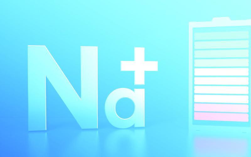 2026年1月13日，中国科学院合肥物质院固体所赵邦传团队宣布，在高性能钠离子电