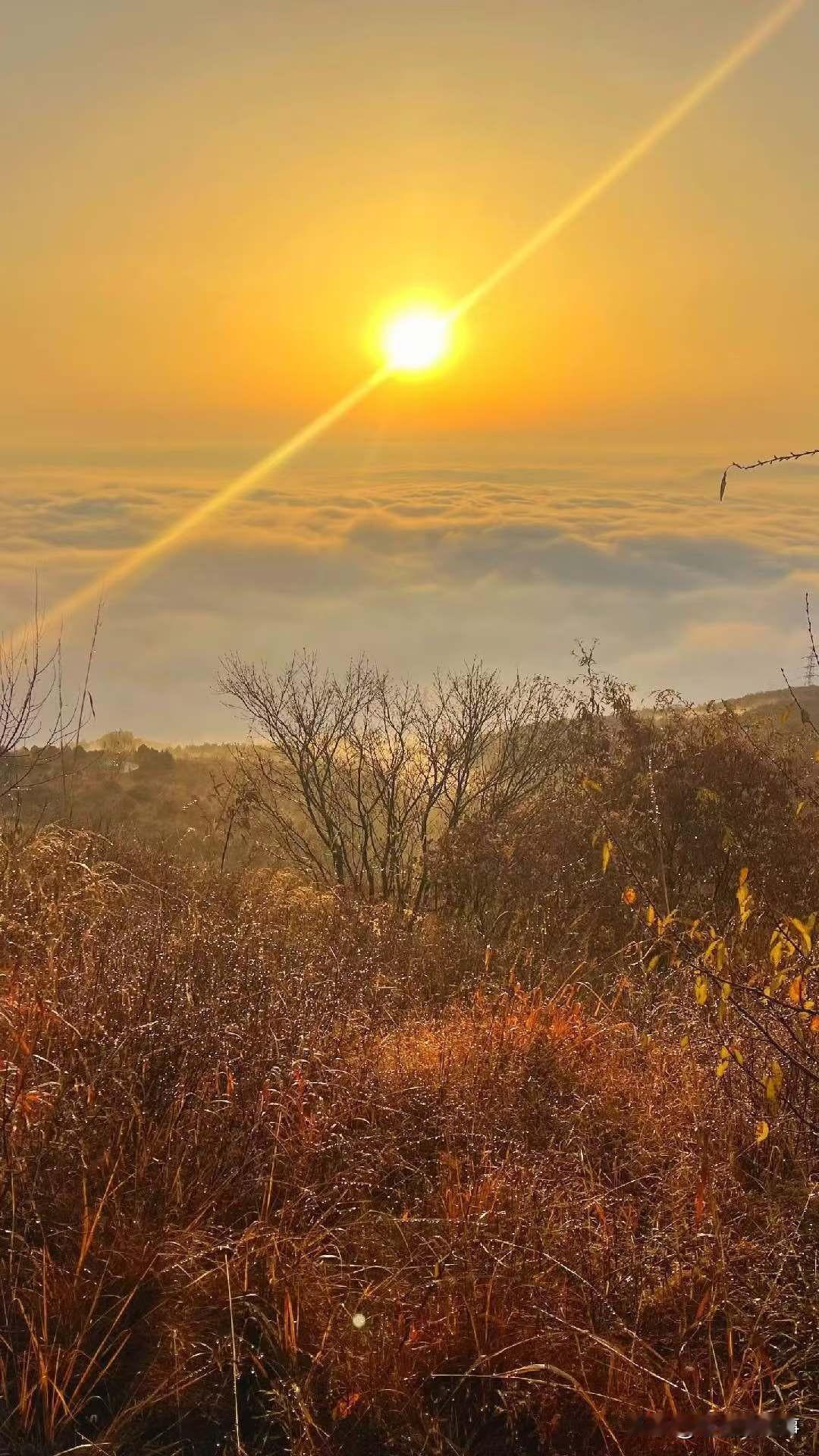 让历史见鬼去吧！今天浏览网络，又看到一个关于李自成的最后归宿历史疑案，说明末农民