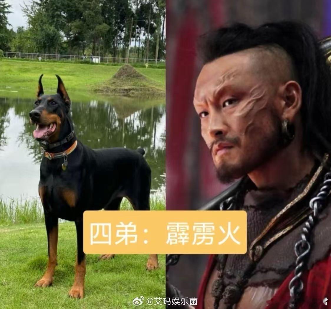诡秘这是你爱看的云中五虎代餐造浪吧国庆档诡秘速来集合！《刺杀小说家2》云中五虎
