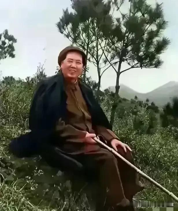 满园春色美。