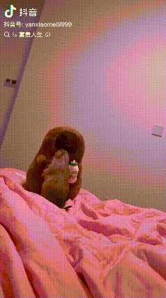 “笑不活了！”抖音上，一只叫富贵的土拨鼠，在主人睡觉时，它都会尽职站岗，因此走