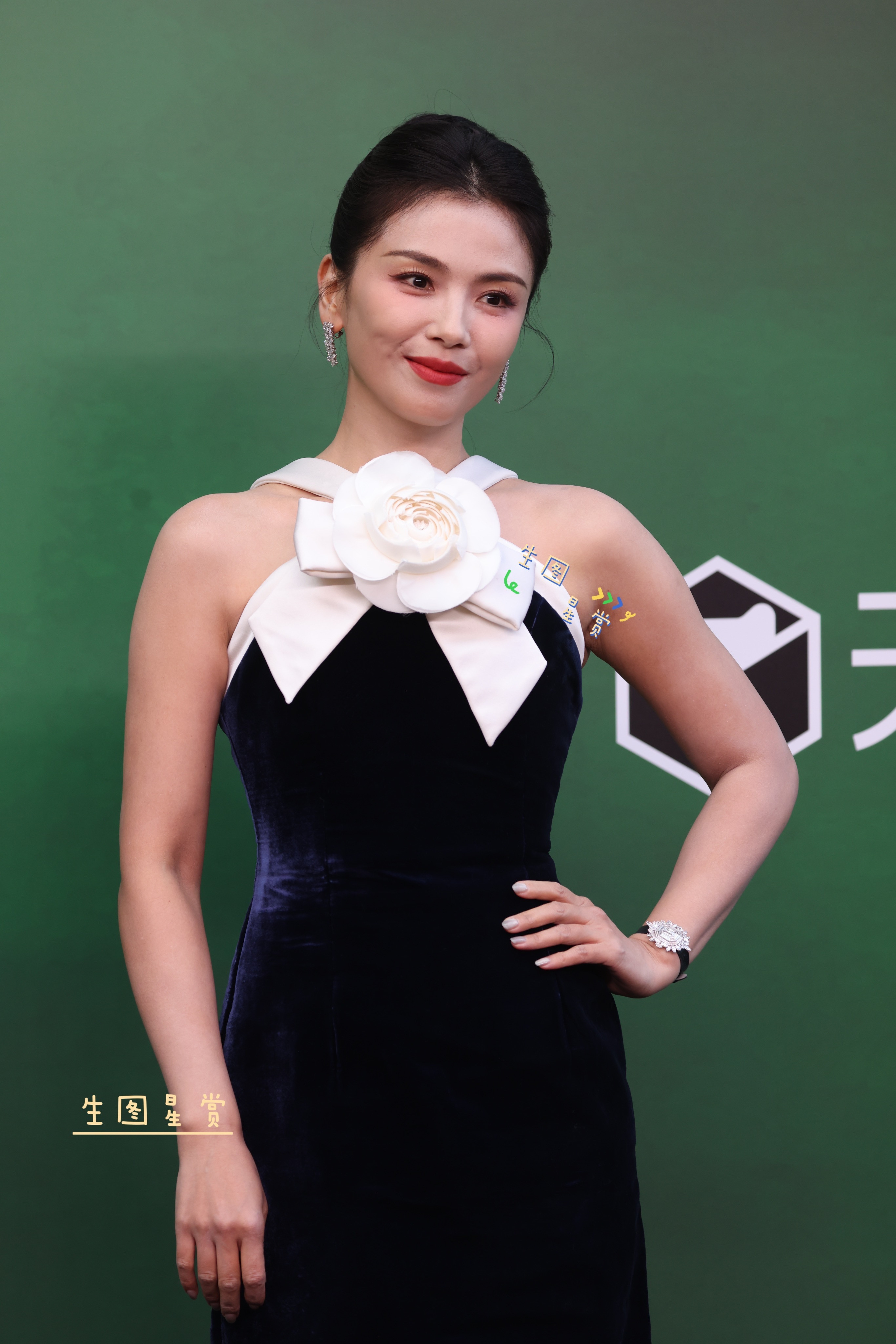 刘涛×vogue盛典复古风的涛姐，优雅贵气✨女明星vogue盛典造型出图刘涛[