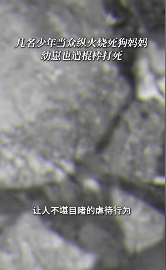 “天生坏种！”6月29日，一段发生在广东揭阳的虐杀流浪狗视频在网络空间迅速发酵，