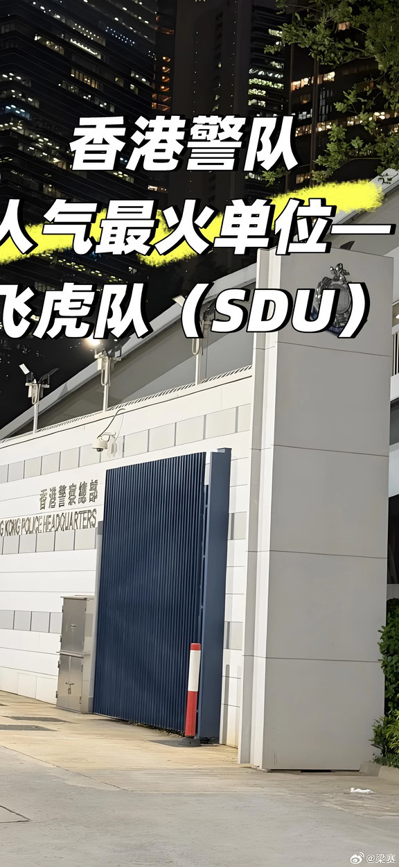 香港警队人气最火单位-飞虎队（SDU）