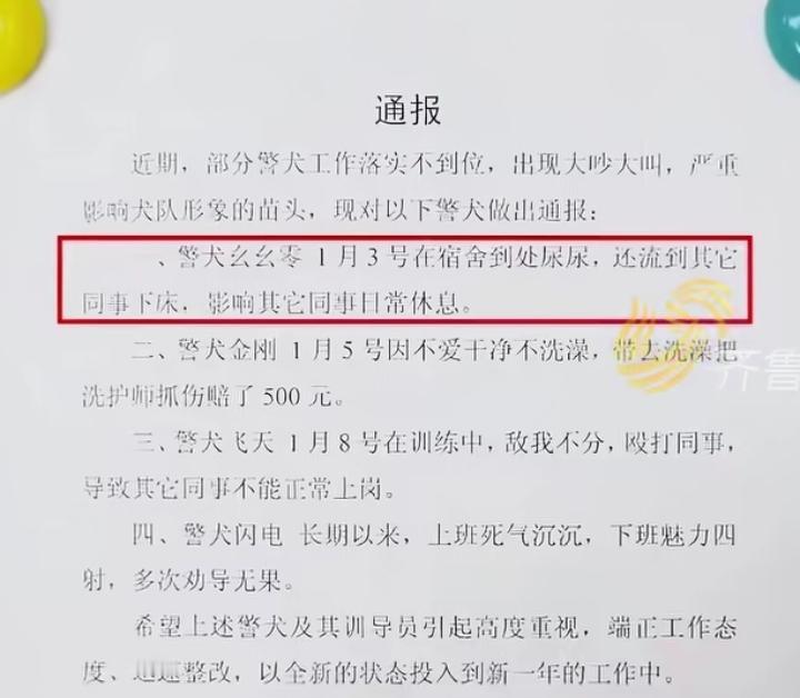 警队里也有霸凌，4只警犬被通报批评，全网征集狗语8级翻译。近期云南某警队张贴通