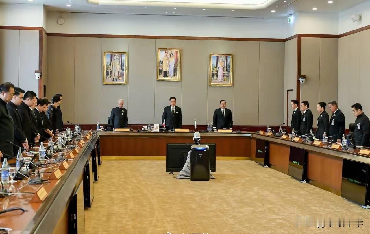 在君主国家的政府会议室悬挂国王和王后的画像实属正常，尤其是泰国更是如此，总理会议