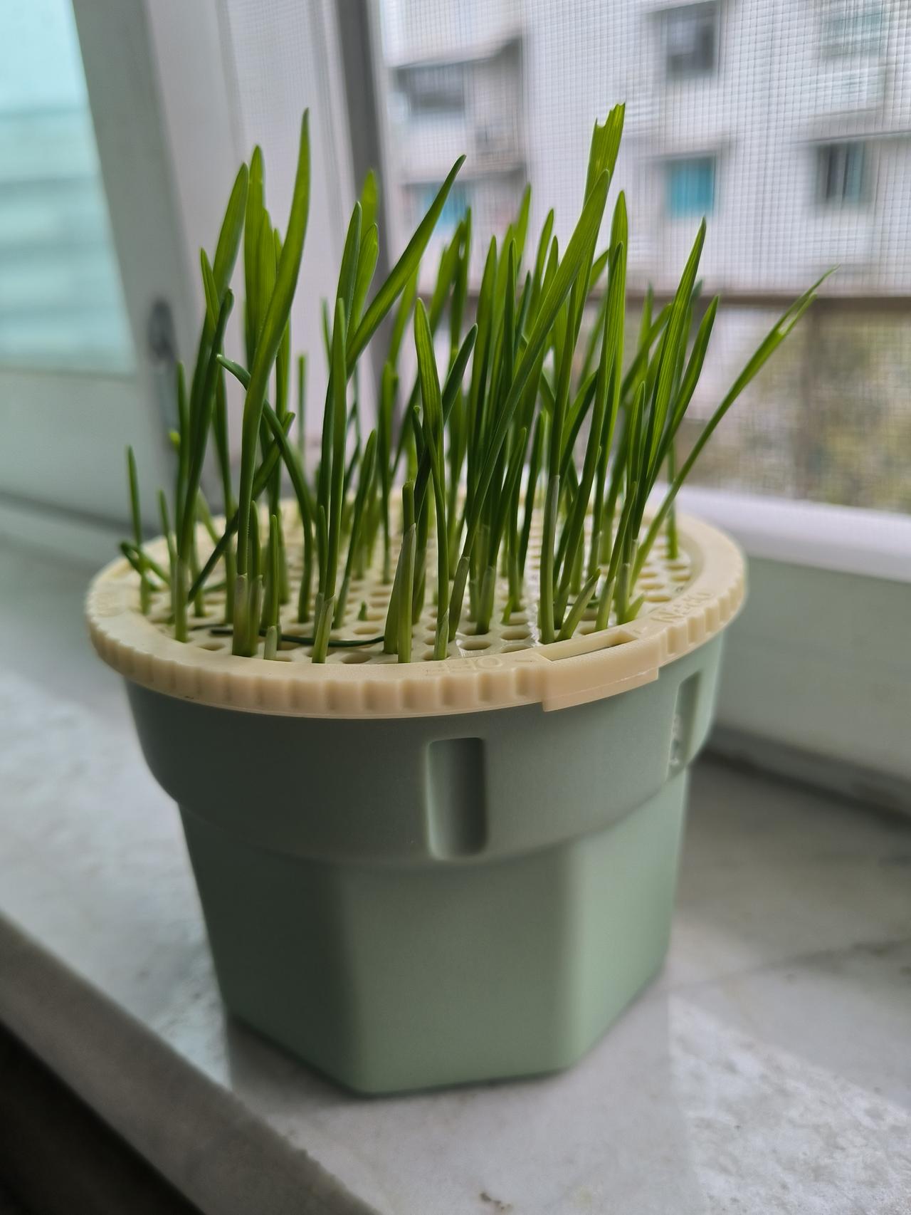 当一个从来不运动的已经40多岁的人突然开始爱上健身，然后拼命运动并在朋友圈里