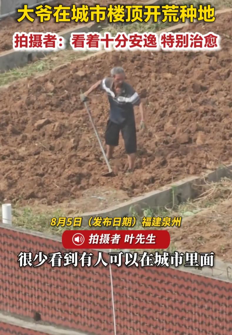 福建泉州，男子在家阳台透气望风时，偶然拍到了一幕特别治愈的画面。他无意间看向对面