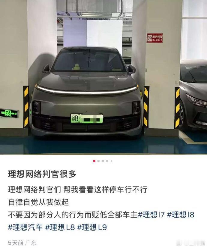 这是真的吗？理想车停得挺正的，但注意地面好像没有划线​​​