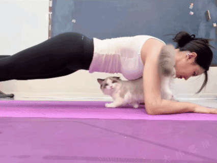 不离不弃，姐姐没白疼你这个小家伙！