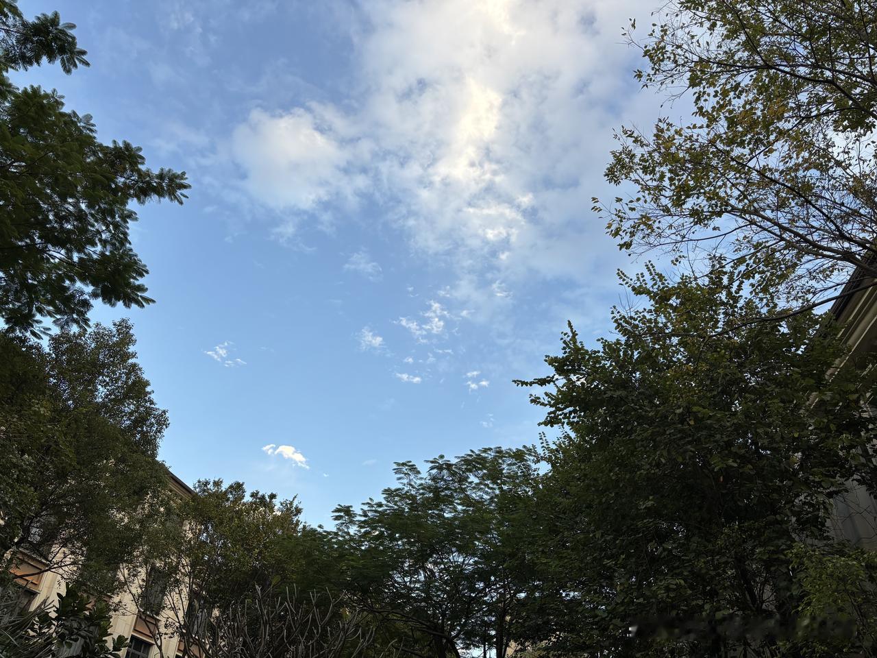 家人体检显示高血脂，认真学习如何正确理解甘油三酯高和如何降血脂。对降低胆固醇