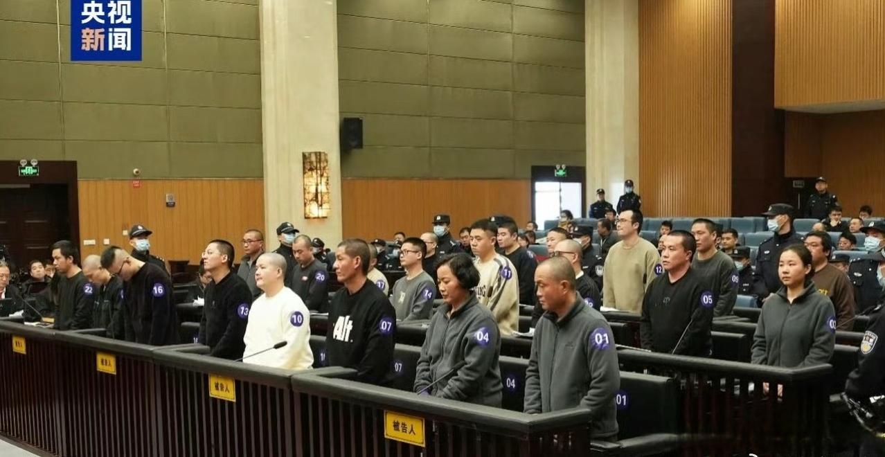 比如语言和文化优势，可以进行诈骗，加上这几年查得严，到了今年已经一个人飙升至30