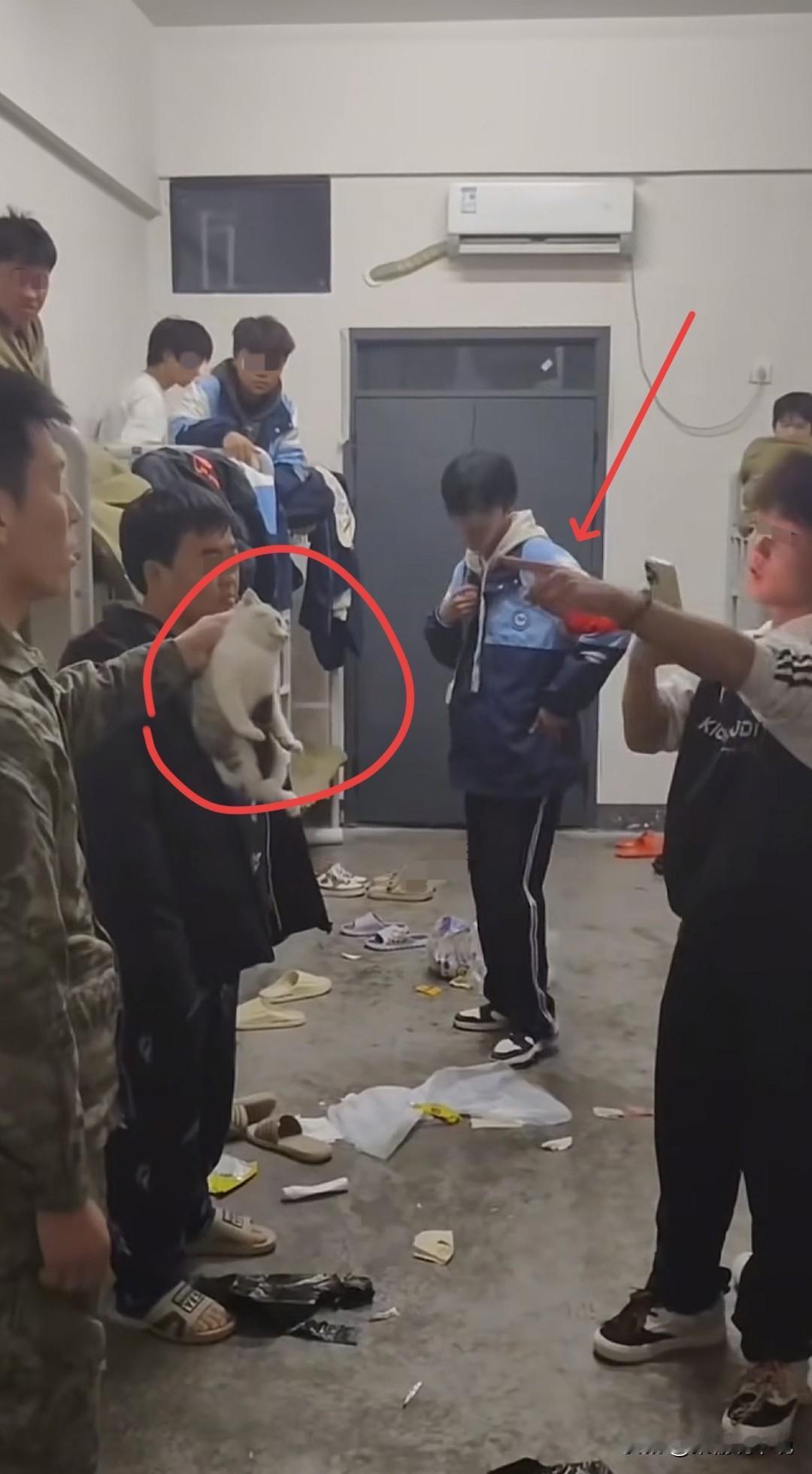 湖南教官摔猫事件，一开始我觉得是教官做的不对，现在虽然还是觉得教官做的不对，但仔