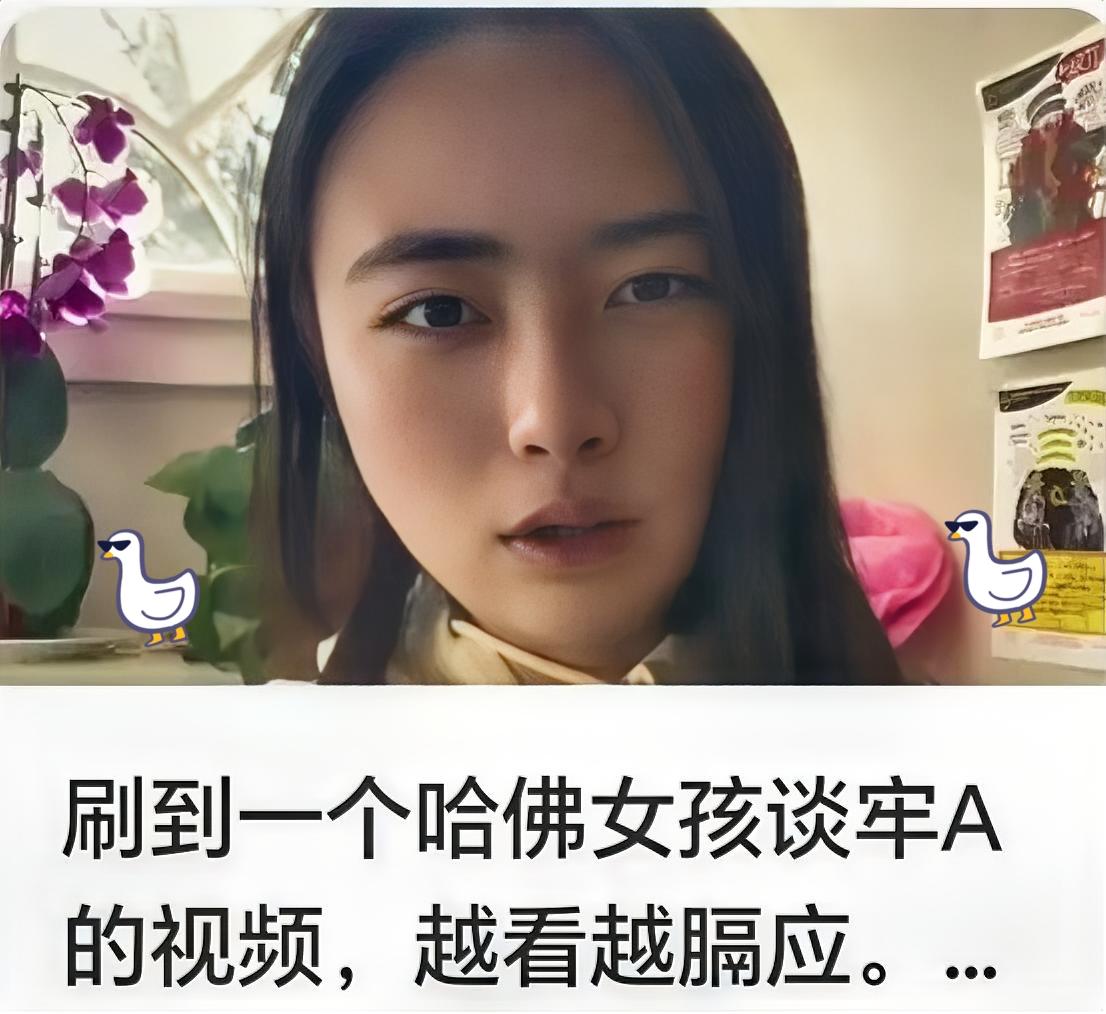 这回算是看了一出大戏。那个为了秀优越感特意晒哈佛学生证的女留学生，估计肠