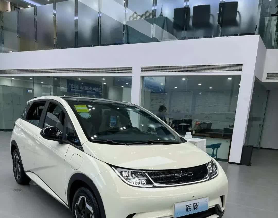 家里有一辆燃油车，又想买一辆电车，给媳妇开。看了海鸥，感觉比较小，适合女士，