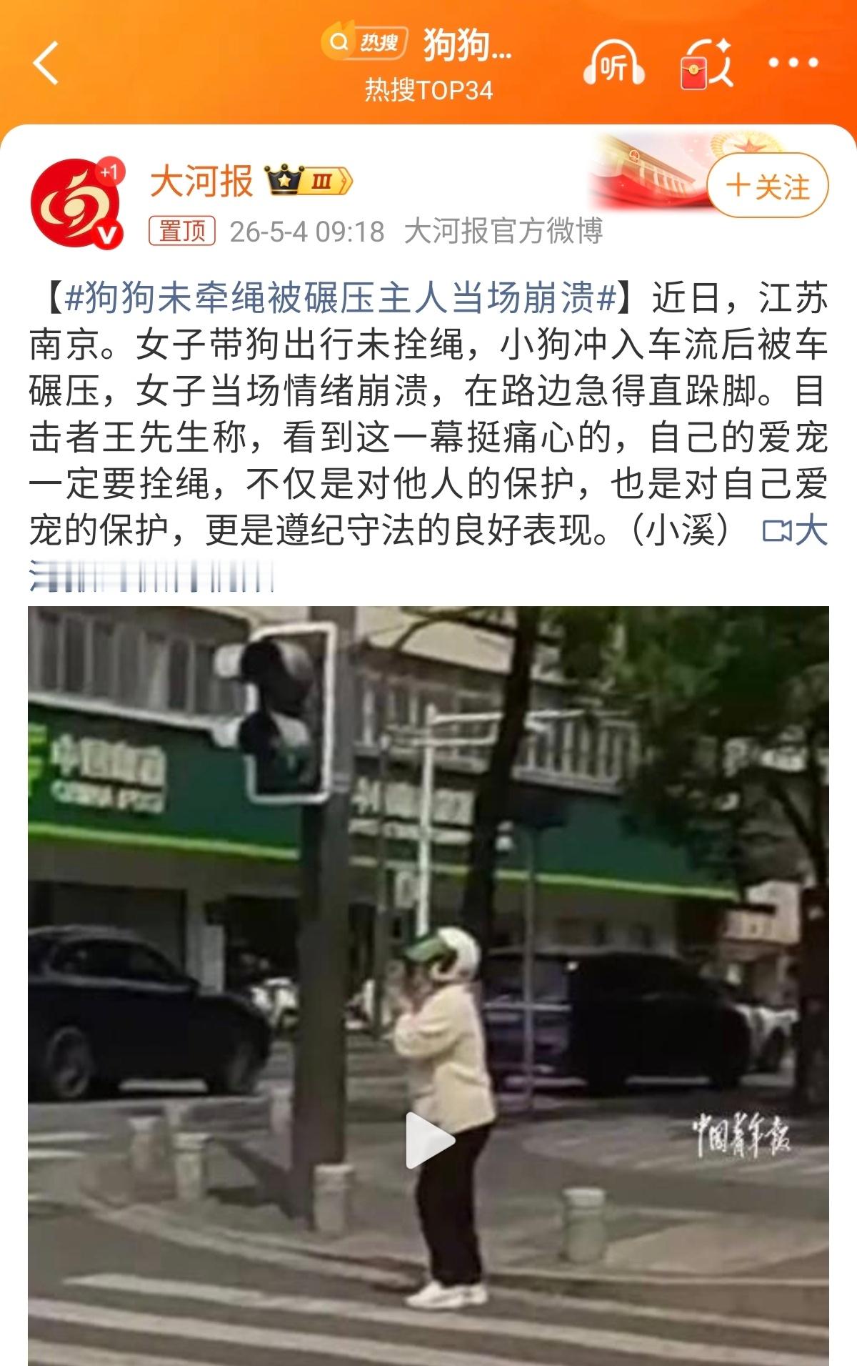 狗狗未牵绳被碾压主人当场崩溃遛狗不牵绳，导致狗被碾压死亡。这就是纯纯的自作狗受。