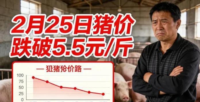 你敢信吗？终于可以实现红烧肉自由了！因为猪肉已经崩到了5块钱一斤了。几百公里