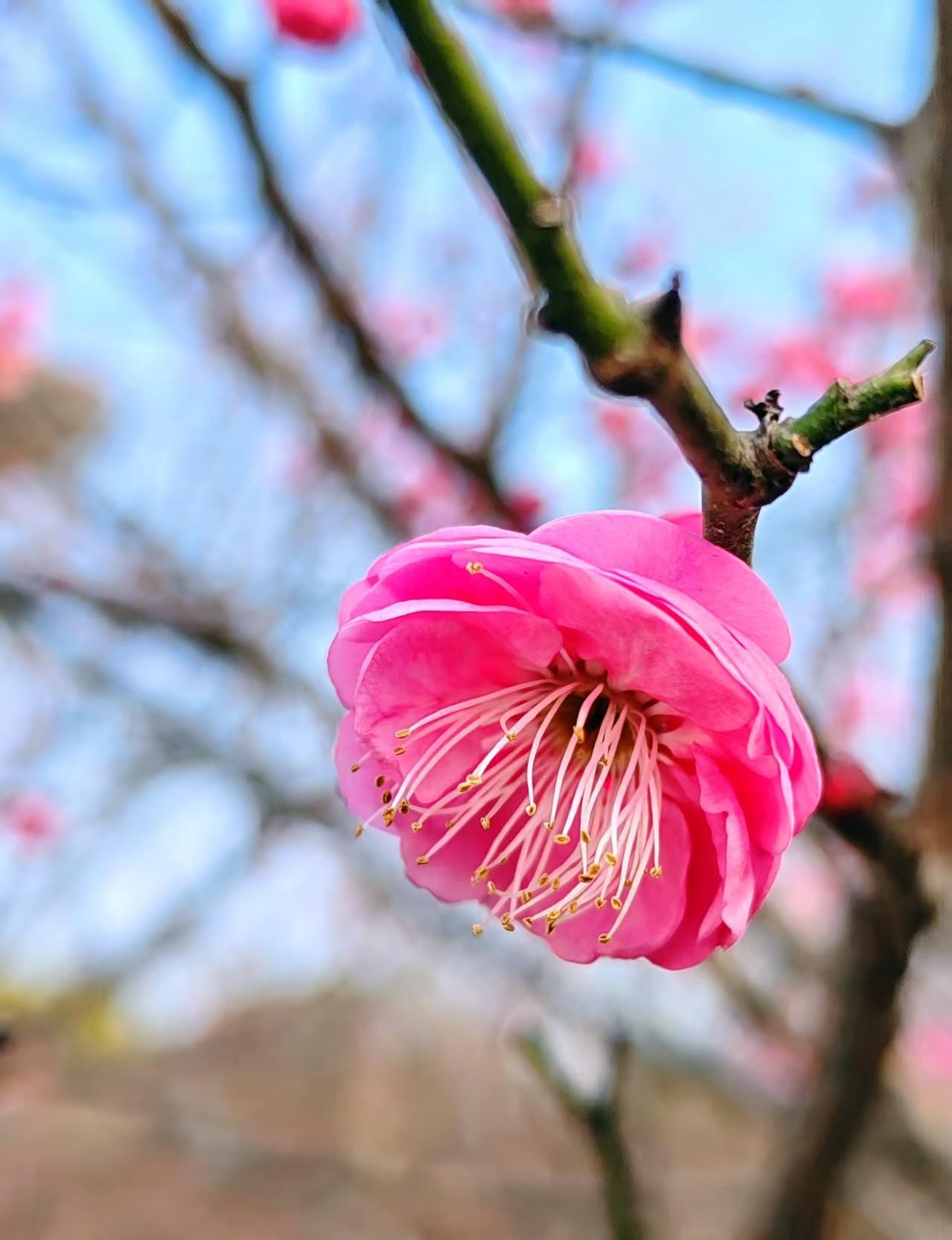 输球后，她第一句话不是找借口。孙颖莎赛后对着镜头直接说：责任在我。那天她状态