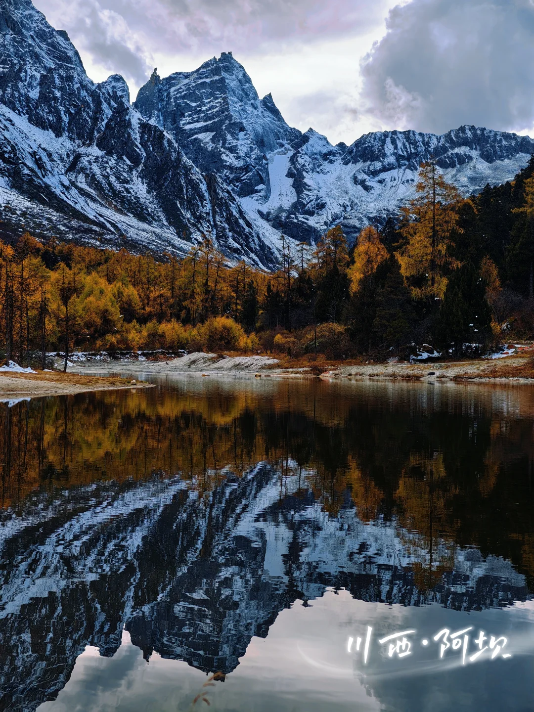未见奥太娜真容，却因一首歌而流泪