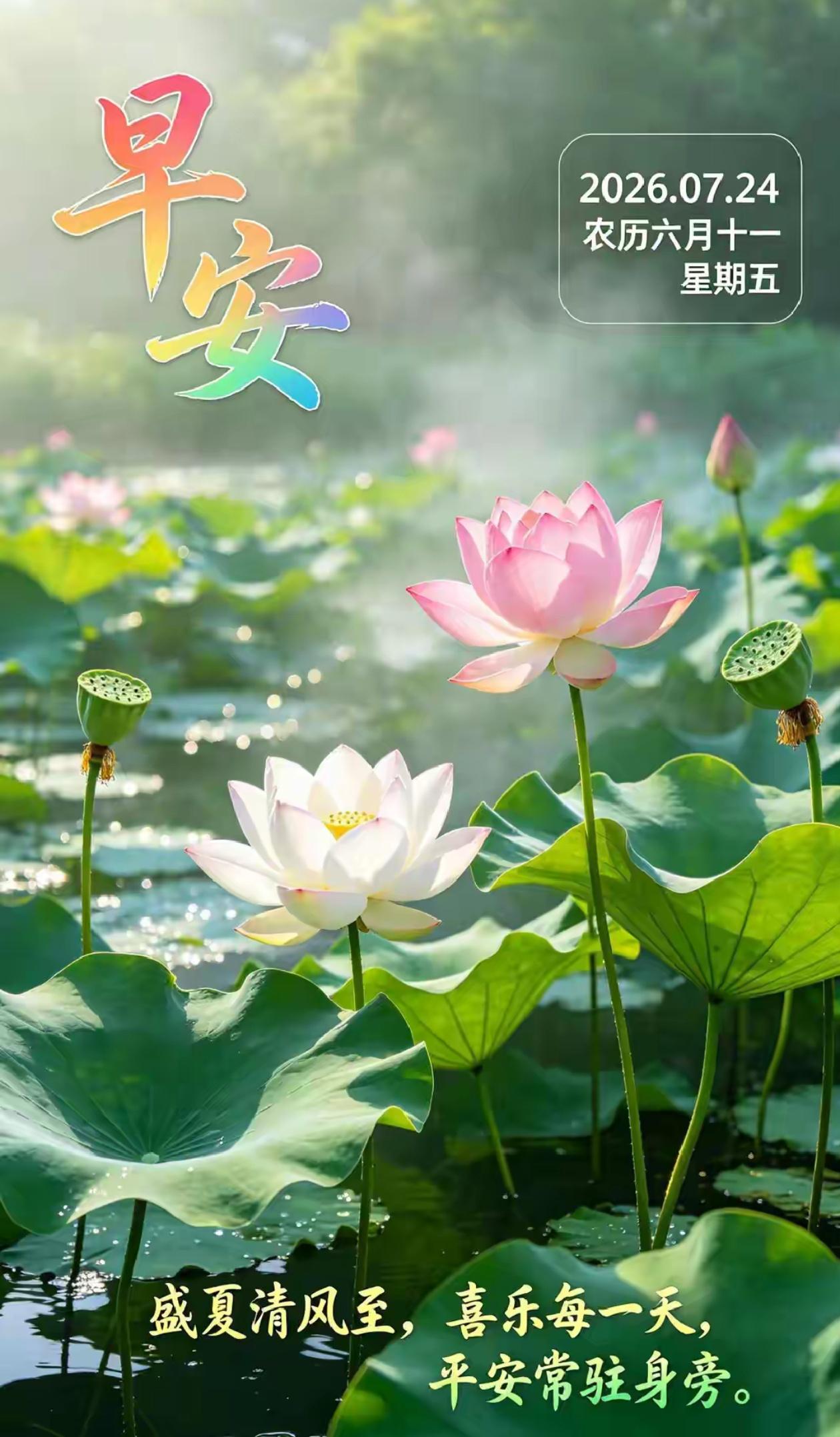 🌺2026./7月24日，从宿经盛夏，四季吉祥开🌺大暑熏蒸夏日长，愿携