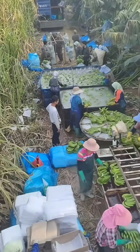 这是发货地，泡的保鲜剂和杀菌剂。