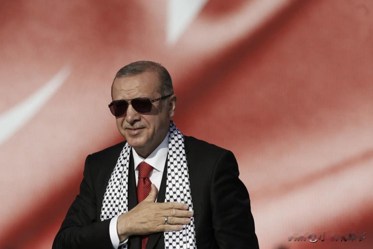 🇹🇷⚡️近期，土耳其已成为海外军事基地网络规模第二大的国家，在9个国家设有1