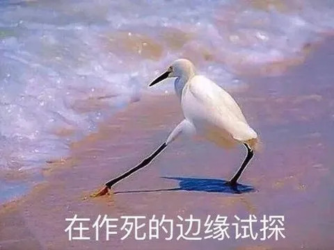 兔子还是太讲理，太礼貌了！脚盆总觉得惹了又怎样？又不会真的打我……