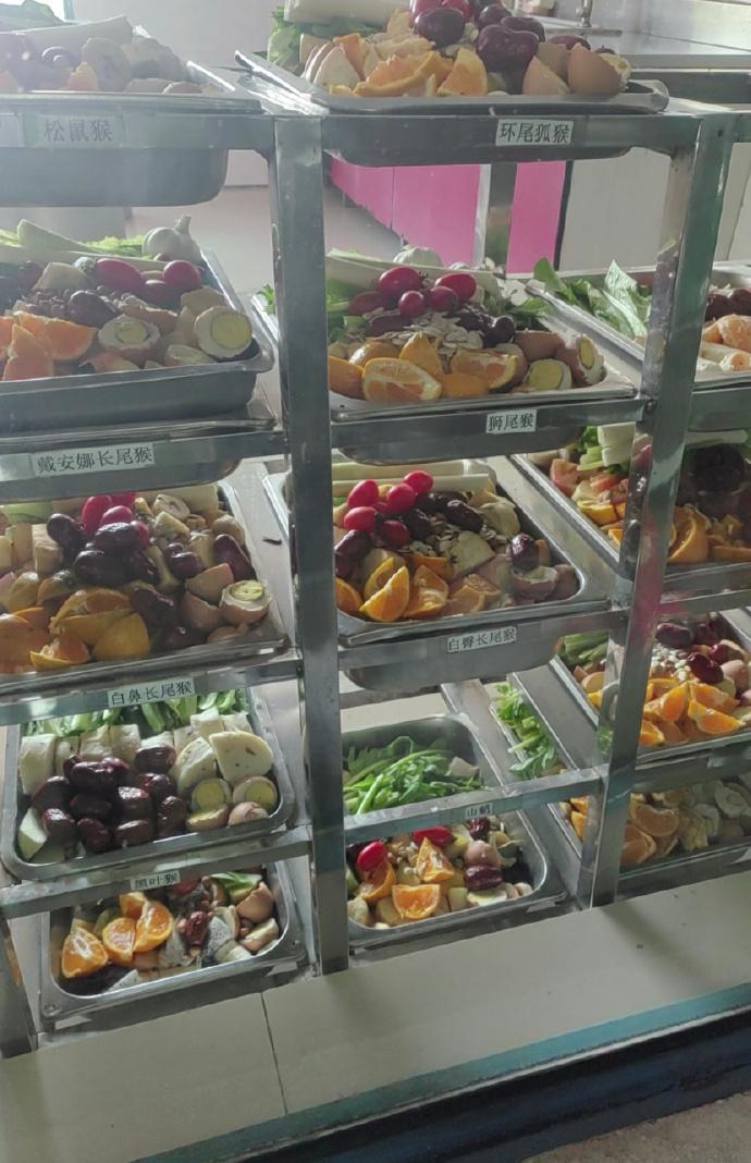 动物园猴子吃的水果比我还全