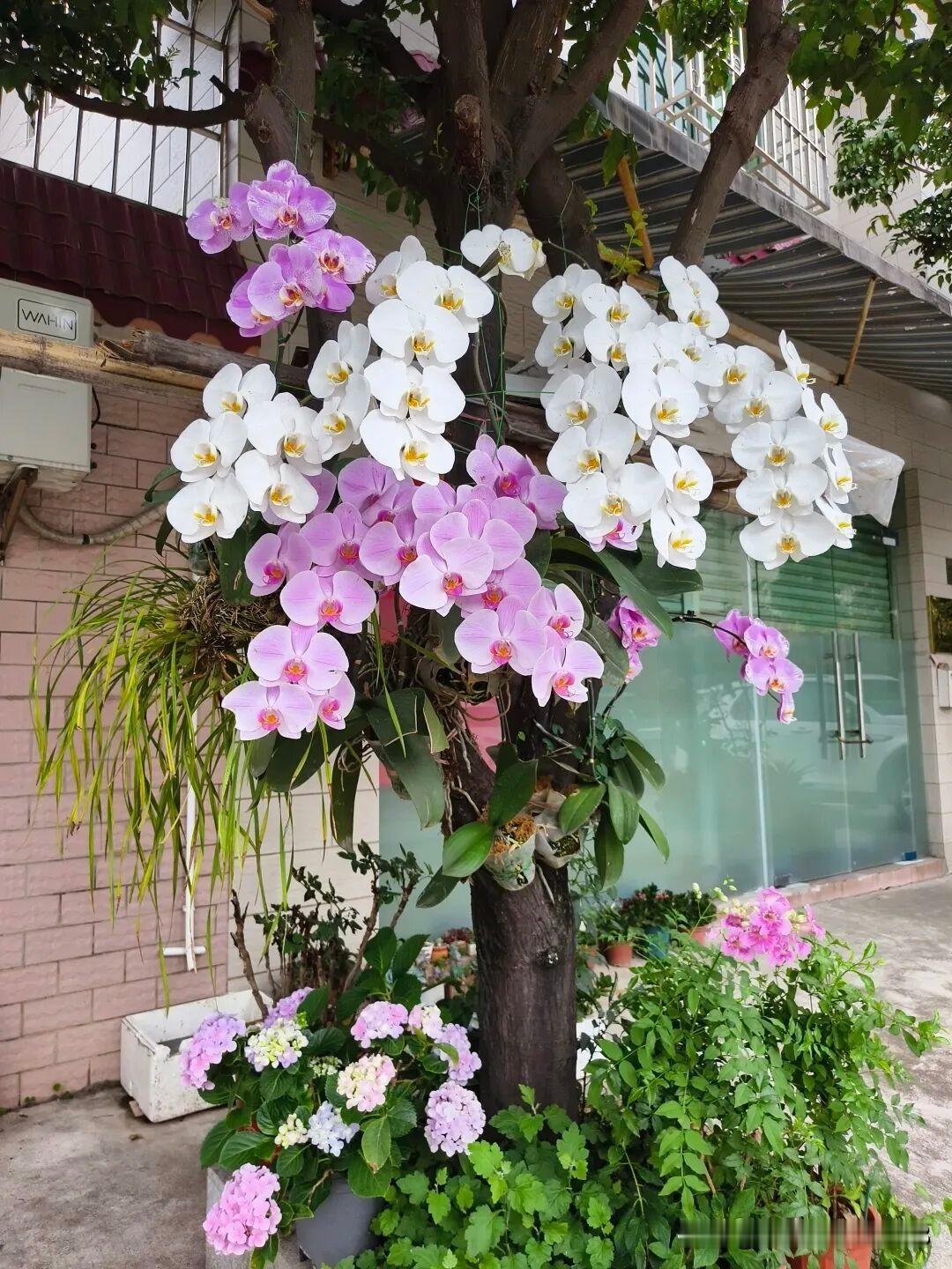 亲戚37岁未婚，漂亮的前女友来求复合，他拒绝了，有人说他傻，但亲戚们都支持他。