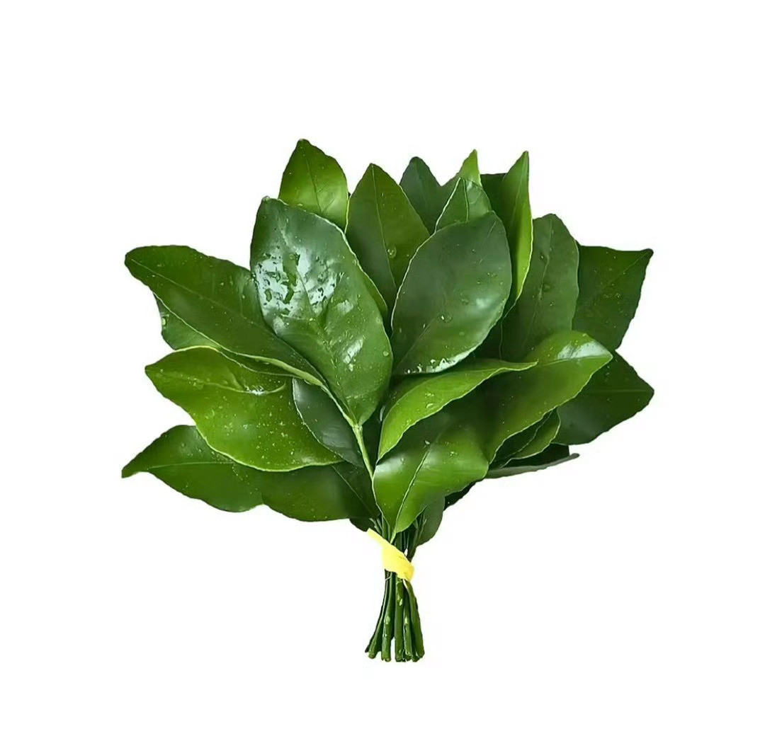 🧱＋🍎抽个5.21🧧去去晦气🈲不礼貌双人喜欢给我发sx通知的看头像和