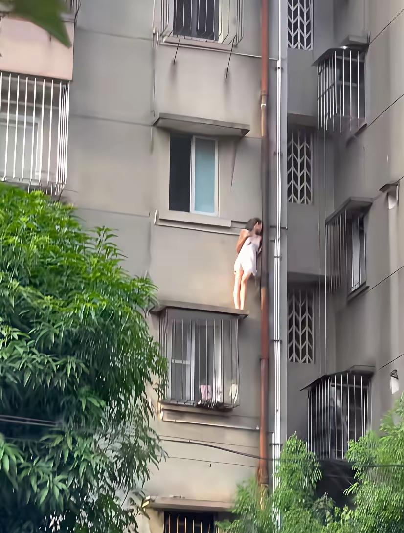 大白天的，想学学蜘蛛侠爬墙吗？还是想在墙上织个网？七夕节，没事就好好待着呗，还