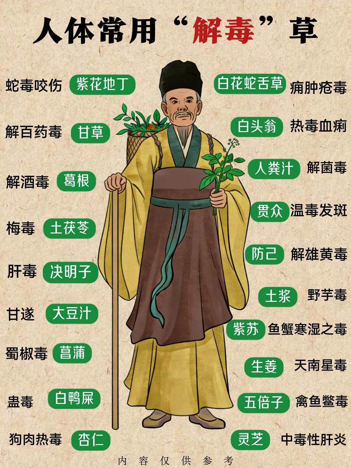 人体常用解毒草药，一篇搞懂✅建议收藏❗️国医的精诚力量