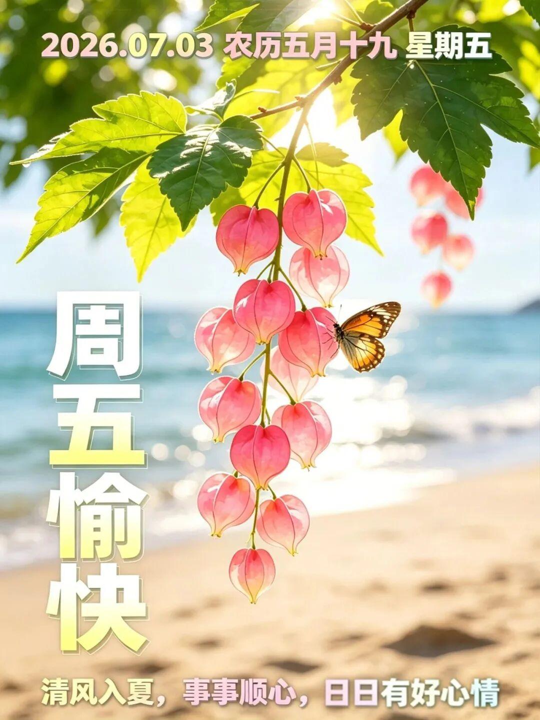 清晨醒来，阳光照进窗前，又是新的一天。愿你从今天开始，不为闲言碎语烦恼，不为无关