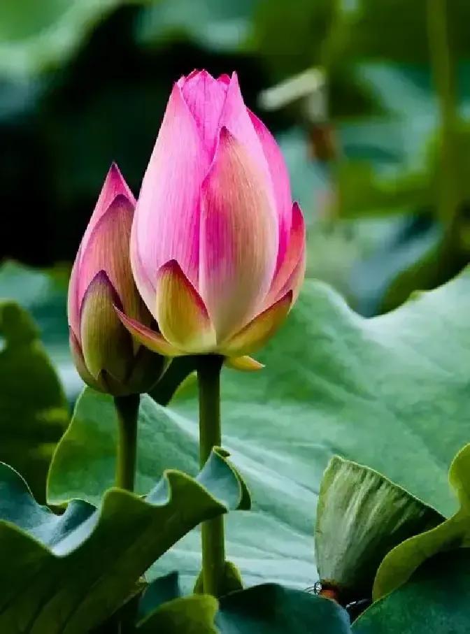 刷到个热搜说六成年轻人就算分手也不删聊天记录，因为“睡过就断不掉”我寻思这不就是