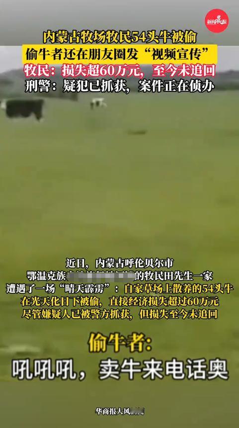 “必须严惩！”2025年8月，内蒙古，一牧民在草场里散养了63头牛，结果被邻居光