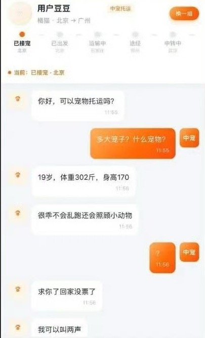 为了能回家彻底拼了🐶✨​​​