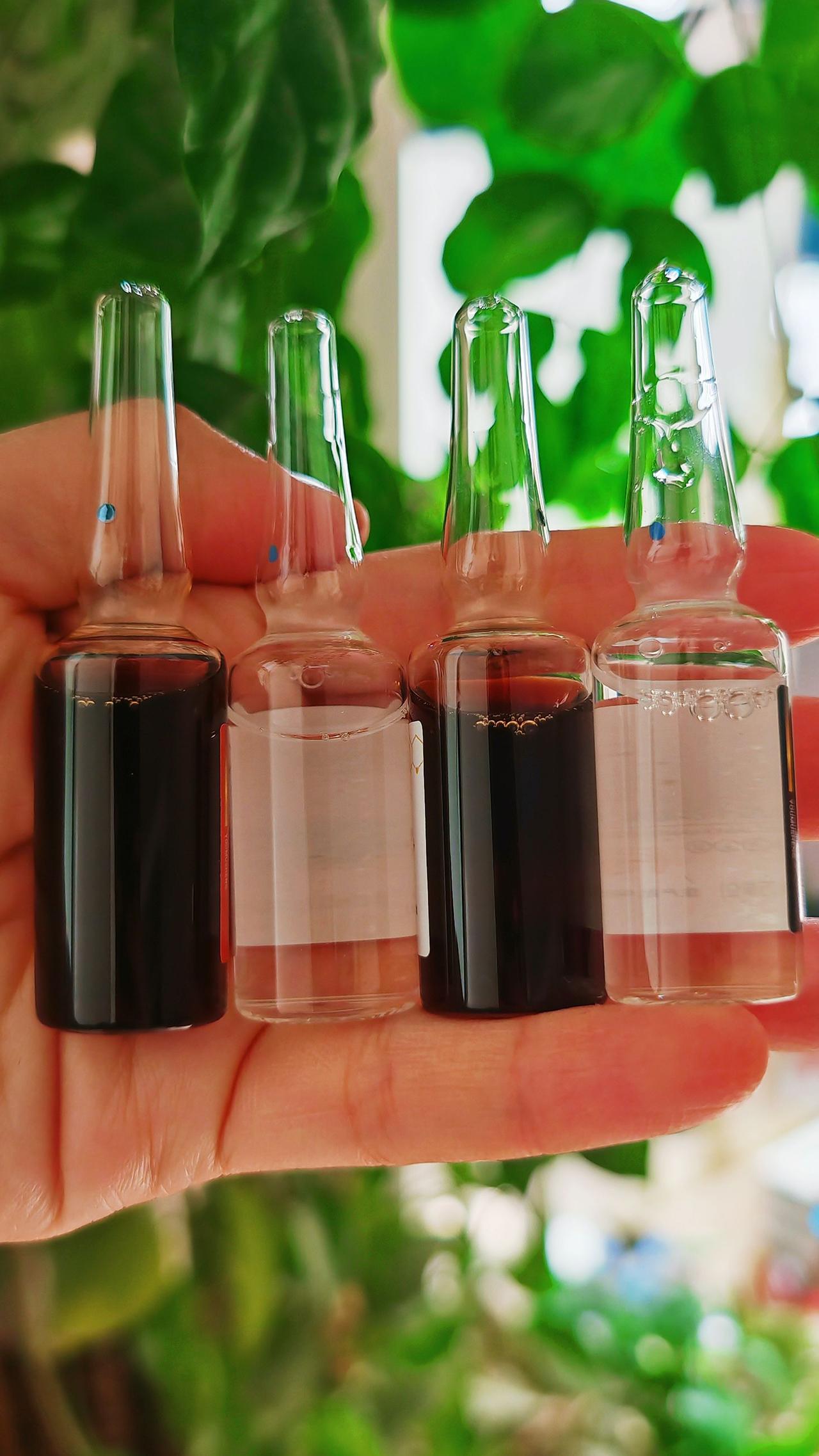 养羊人农村养羊牛羊养殖