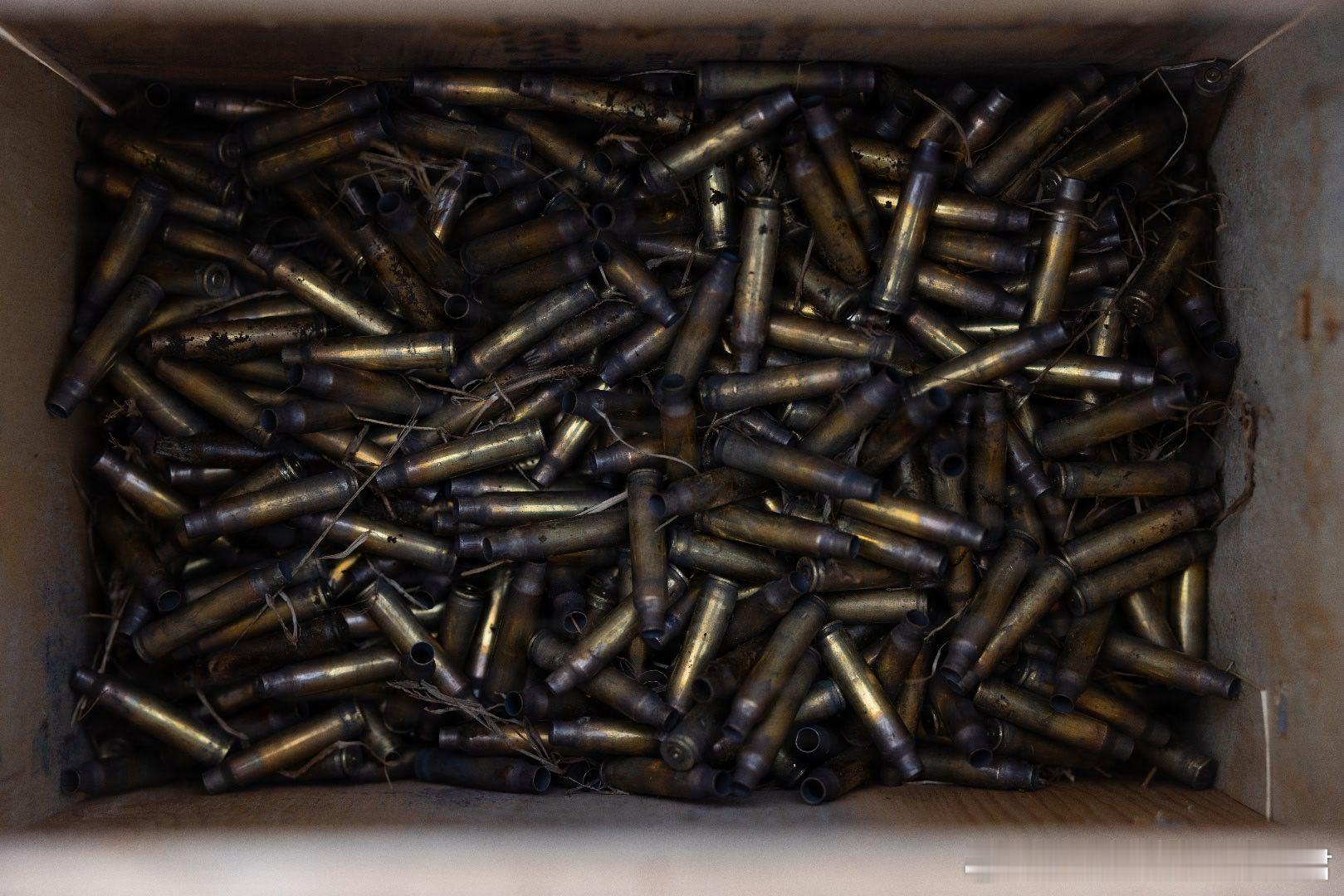 2026年2月，陆战7团2营在韩国CampStory2