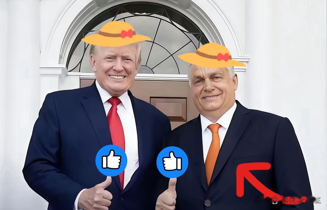 就在刚刚美国突然宣布了特朗普“换将”后对俄乌问题态度大变！想加速解决俄乌冲突