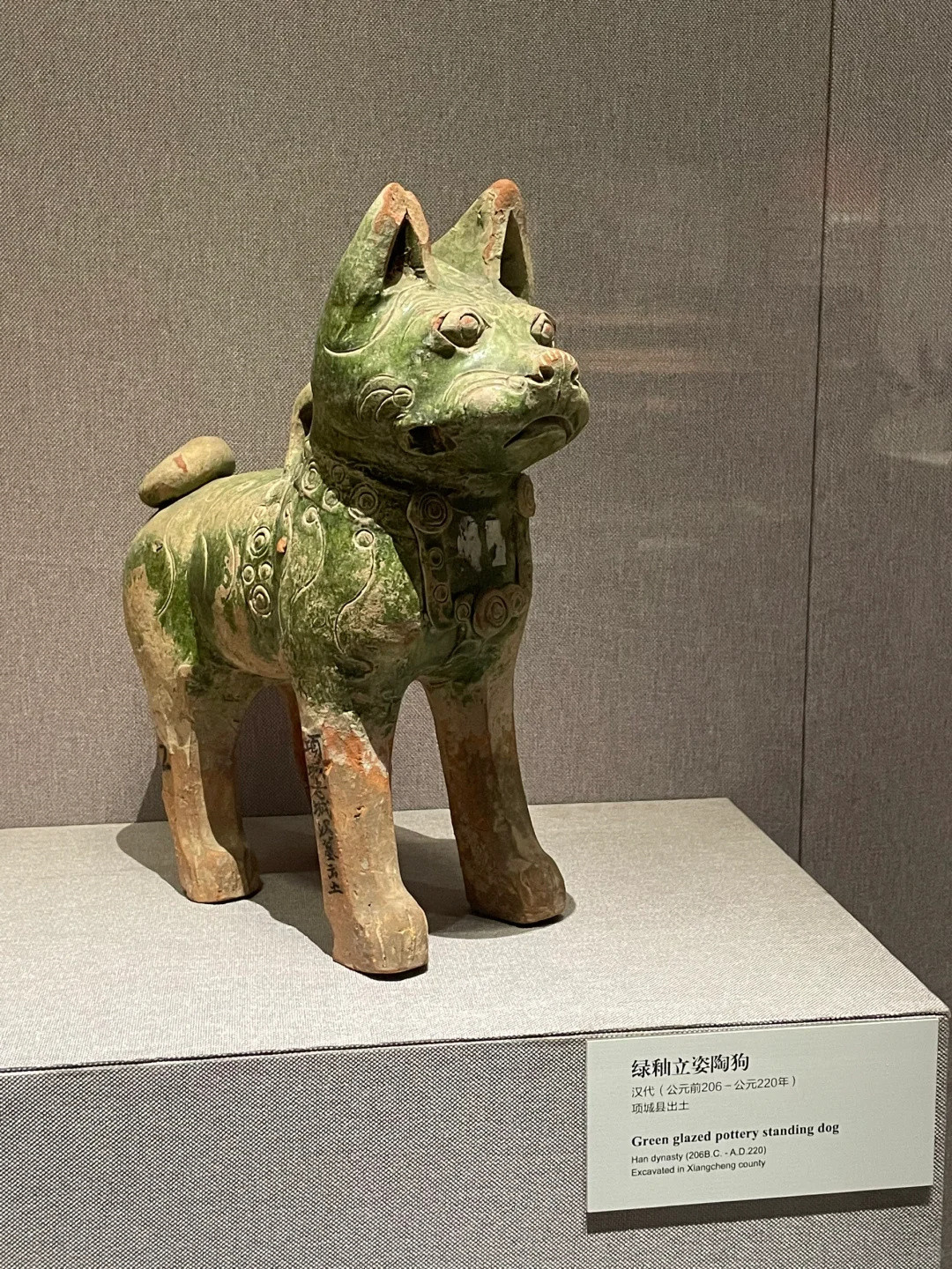 过去，现在，未来，无论什么时候人们都喜欢小狗