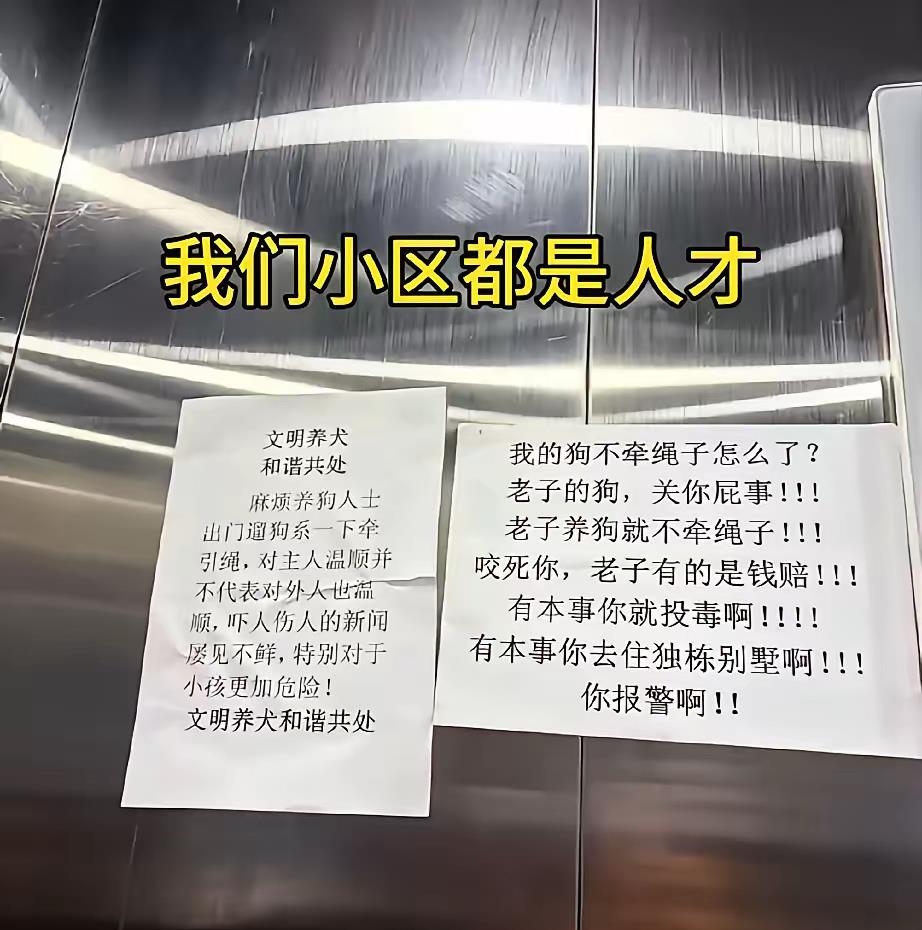 我们小区的人才