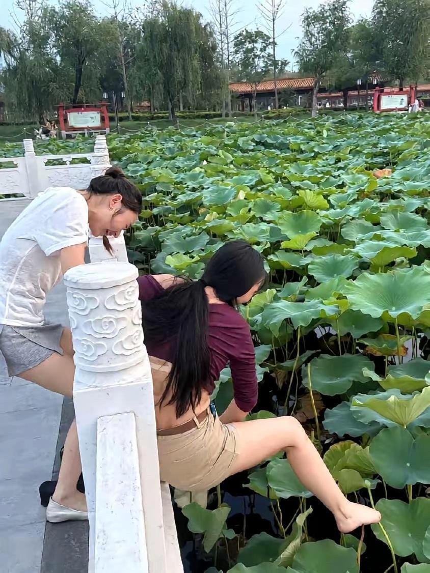 这要干啥啊
