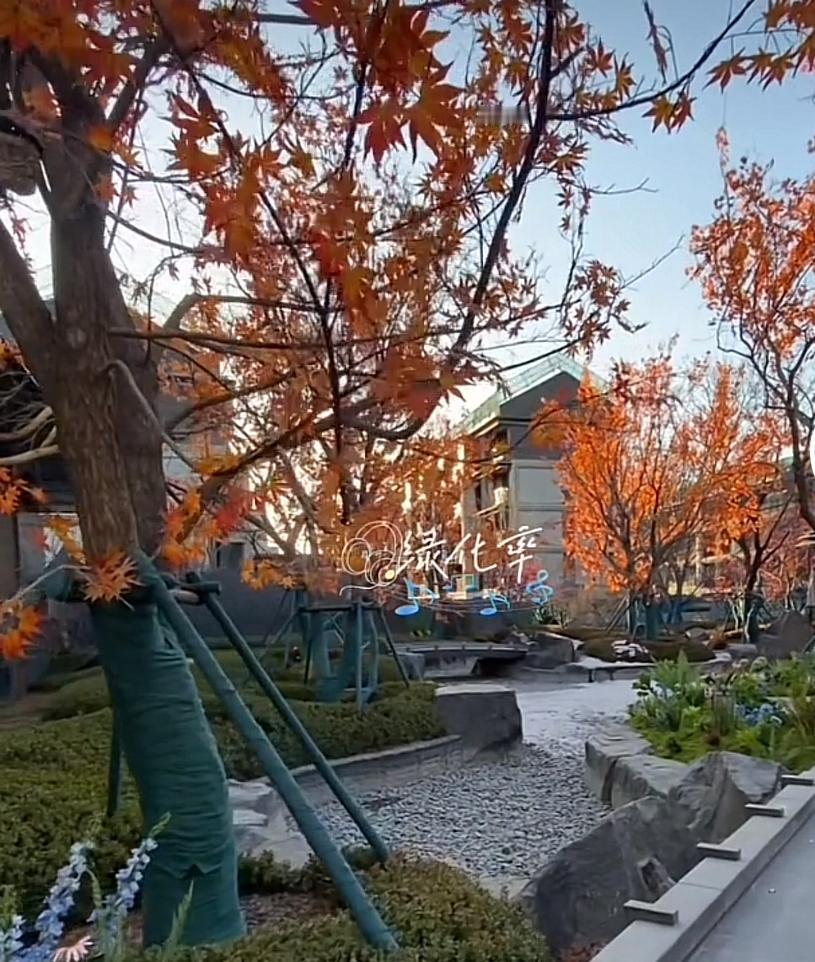 关于当前楼市的七个谎言，记住少踩坑！1、房价马上就要大涨，再不上车就晚了